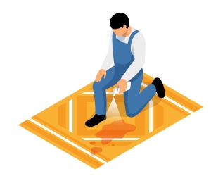 Carpet Cleaners